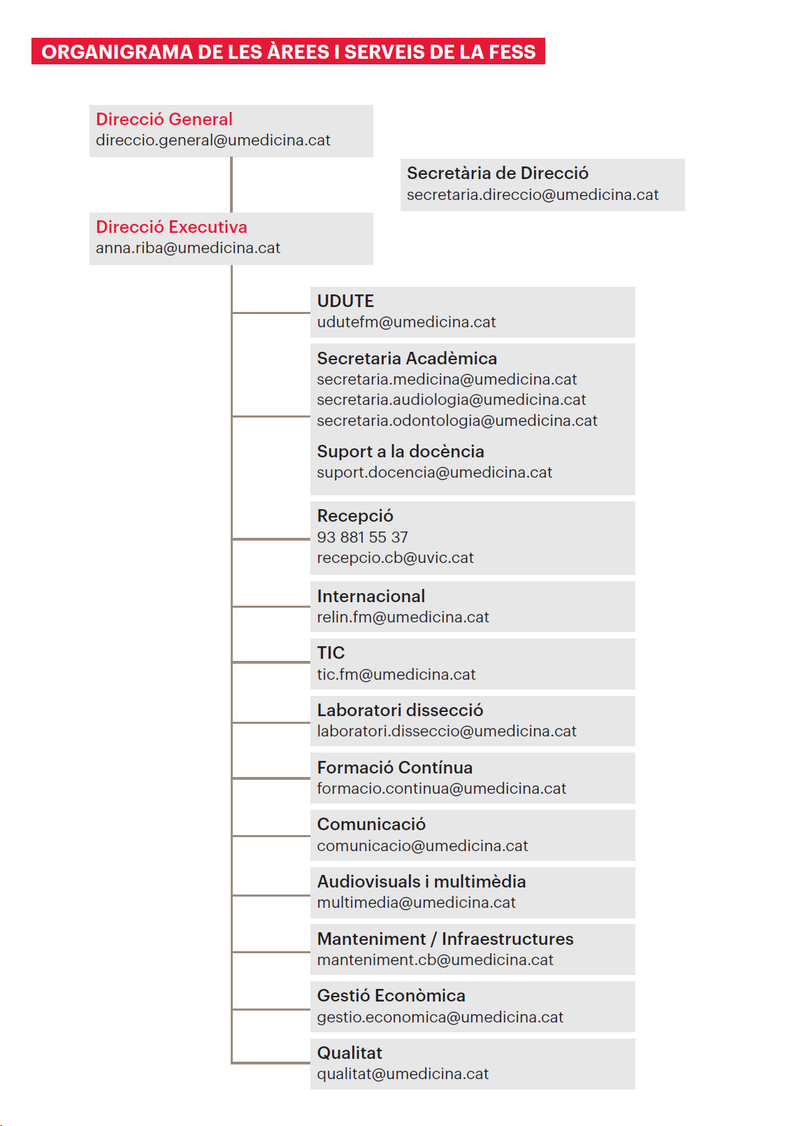 organigrama acadèmic