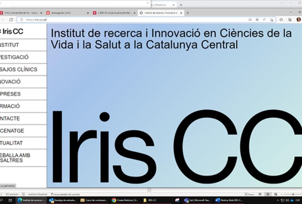 Web del IRIS-CC