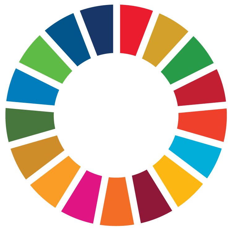 SDG logo